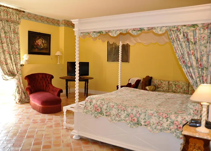 فندق Chateau De